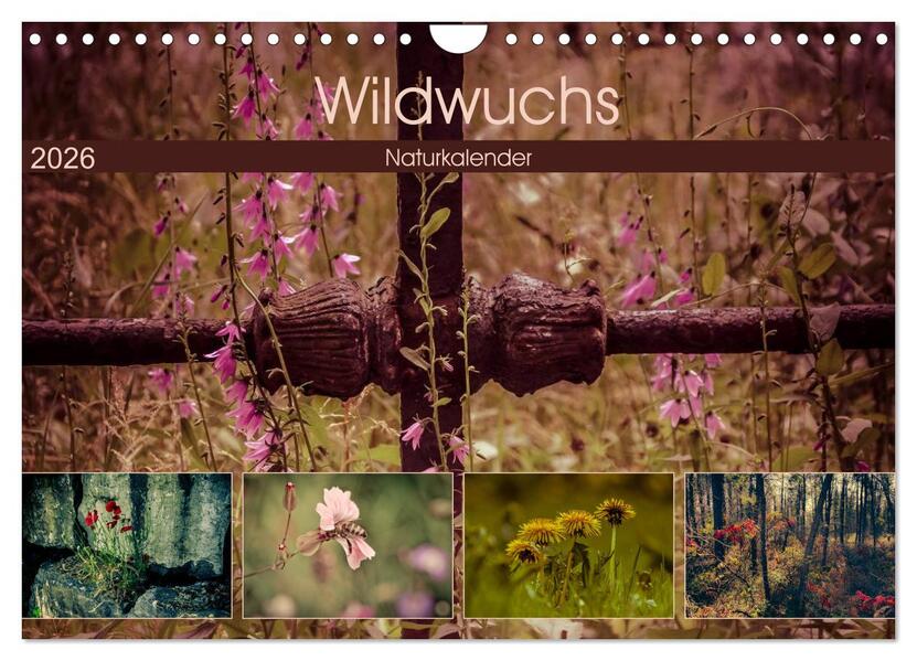 Wildwuchs 2026 (Wandkalender 2026 DIN A4 quer) CALVENDO Monatskalender