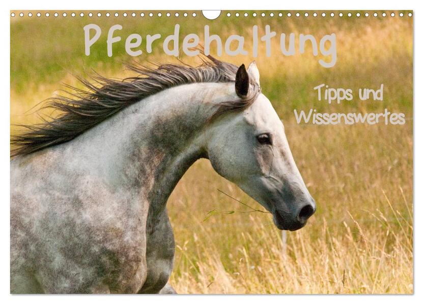 Pferdehaltung Tipps und Wissenswertes (Wandkalender 2026 DIN A3 quer) CALVENDO Monatskalender