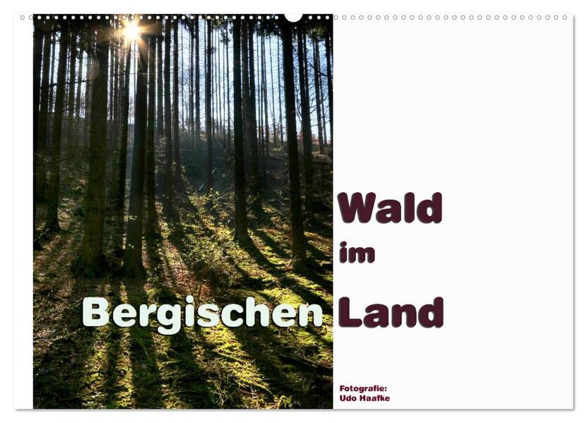 Wald im Bergischen Land 2026 (Wandkalender 2026 DIN A2 quer) CALVENDO Monatskalender