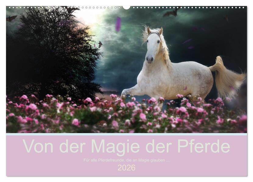 Von der Magie der Pferde (Wandkalender 2026 DIN A2 quer) CALVENDO Monatskalender