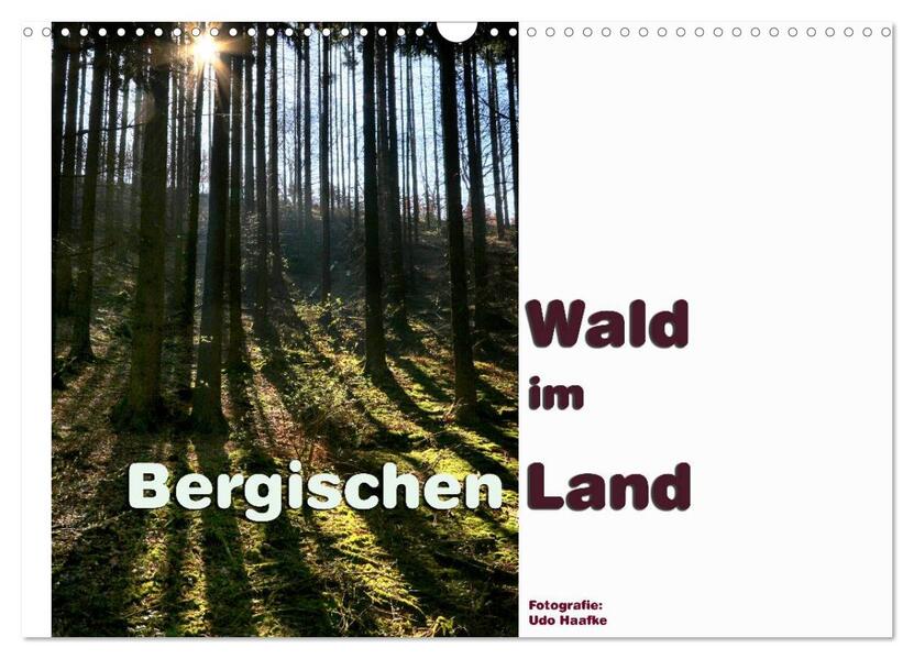 Wald im Bergischen Land 2026 (Wandkalender 2026 DIN A3 quer) CALVENDO Monatskalender