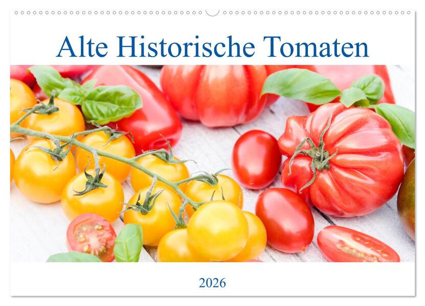 Alte Historische Tomaten (Wandkalender 2026 DIN A2 quer) CALVENDO Monatskalender