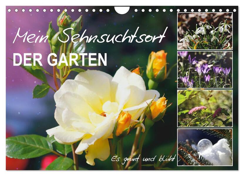 Mein Sehnsuchtsort der Garten (Wandkalender 2026 DIN A4 quer) CALVENDO Monatskalender