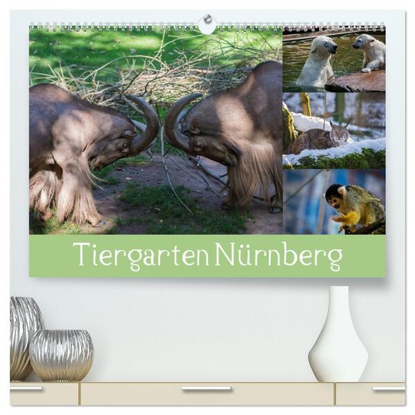 Tiergarten Nürnberg (hochwertiger Premium Wandkalender 2026 DIN A2 quer) Kunstdruck in Hochglanz