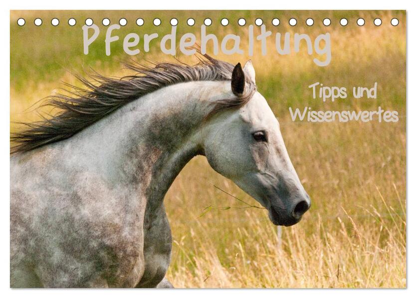 Pferdehaltung Tipps und Wissenswertes (Tischkalender 2026 DIN A5 quer) CALVENDO Monatskalender