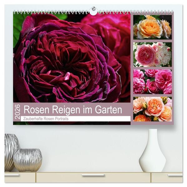 Rosen Reigen im Garten (hochwertiger Premium Wandkalender 2026 DIN A2 quer) Kunstdruck in Hochglanz