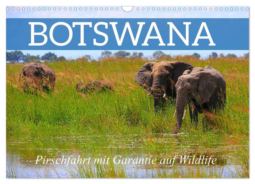 Botswana- Pirschfahrt mit Garantie auf Wildlife (Wandkalender 2026 DIN A3 quer) CALVENDO Monatskalender