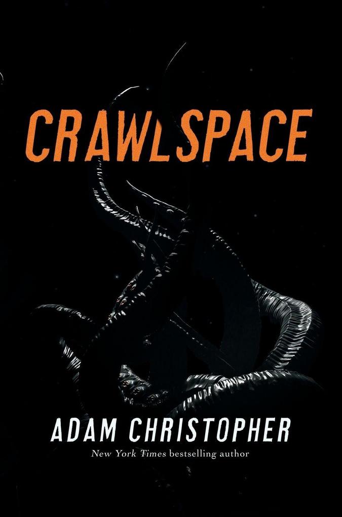 Crawlspace