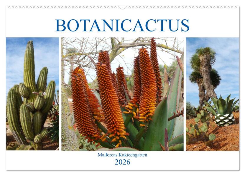 BOTANICACTUS Mallorcas Kakteengarten (Wandkalender 2026 DIN A2 quer) CALVENDO Monatskalender