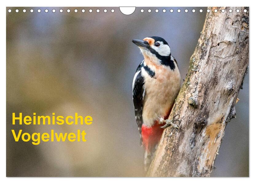 Heimische Vogelwelt (Wandkalender 2026 DIN A4 quer) CALVENDO Monatskalender