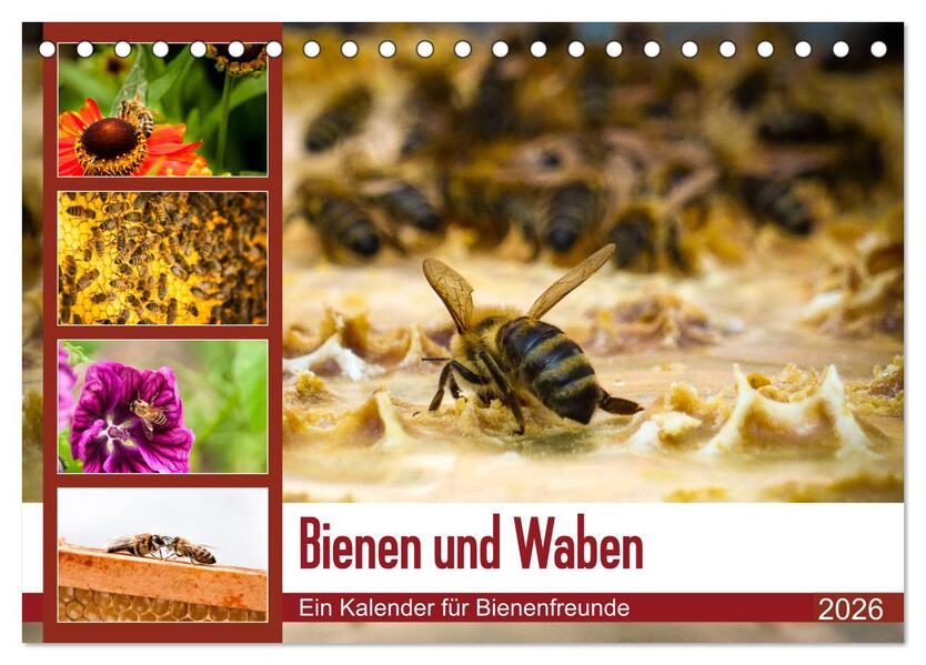 Bienen und Waben (Tischkalender 2026 DIN A5 quer) CALVENDO Monatskalender