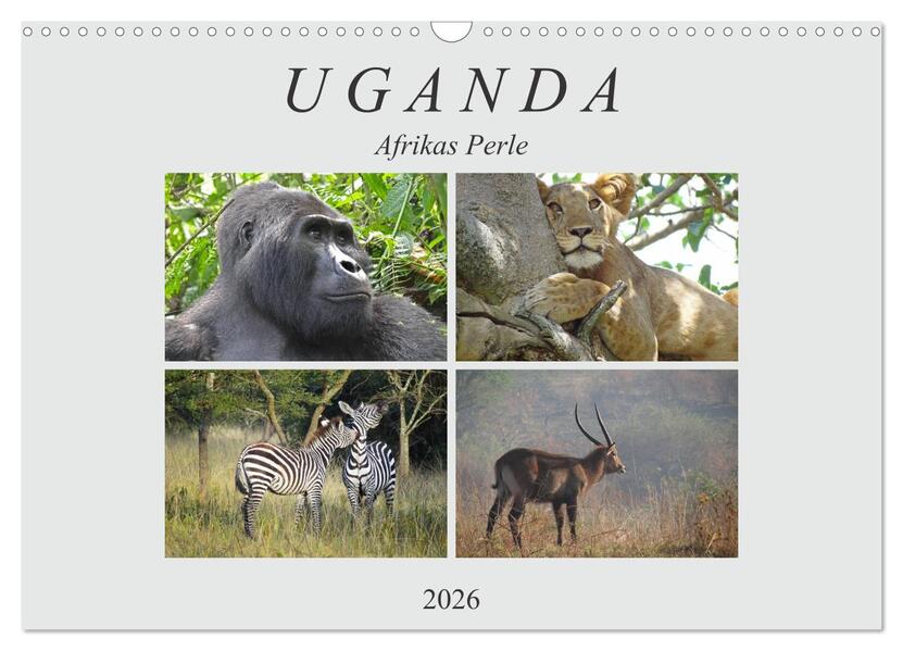 Afrikas Perle Uganda (Wandkalender 2026 DIN A3 quer) CALVENDO Monatskalender