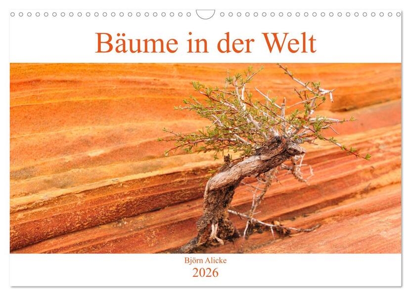 Bäume in der Welt (Wandkalender 2026 DIN A3 quer) CALVENDO Monatskalender