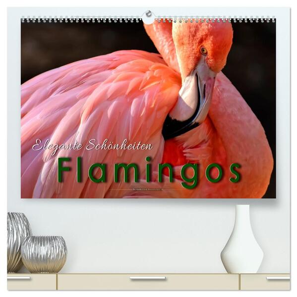 Flamingos - elegante Schönheiten (hochwertiger Premium Wandkalender 2026 DIN A2 quer) Kunstdruck in Hochglanz