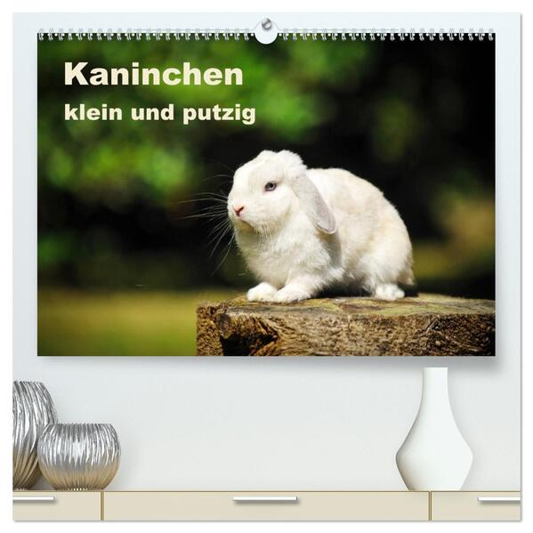 Kaninchen klein und putzig (hochwertiger Premium Wandkalender 2026 DIN A2 quer) Kunstdruck in Hochglanz