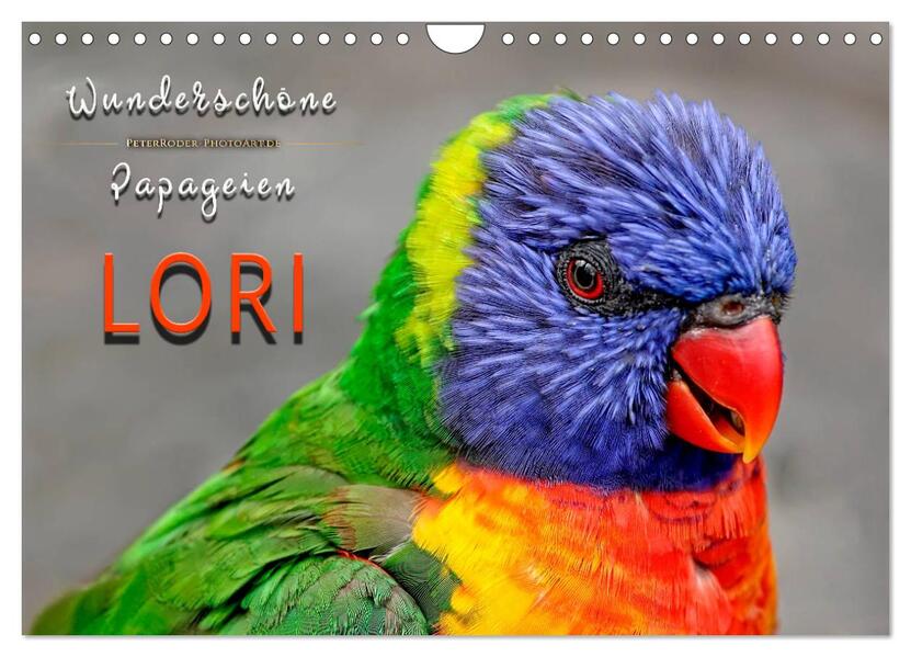 Wunderschöne Papageien - Lori (Wandkalender 2026 DIN A4 quer) CALVENDO Monatskalender