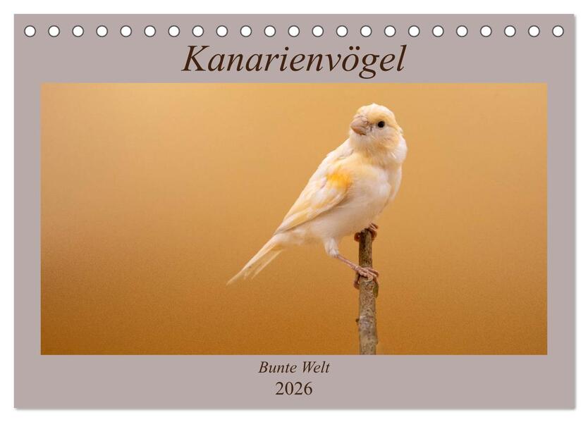 Kanarienvögel - Bunte Welt (Tischkalender 2026 DIN A5 quer) CALVENDO Monatskalender