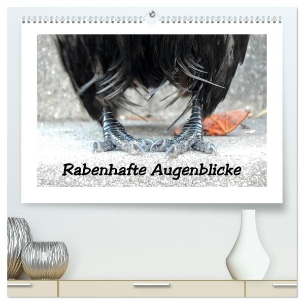 Rabenhafte Augenblicke (hochwertiger Premium Wandkalender 2026 DIN A2 quer) Kunstdruck in Hochglanz