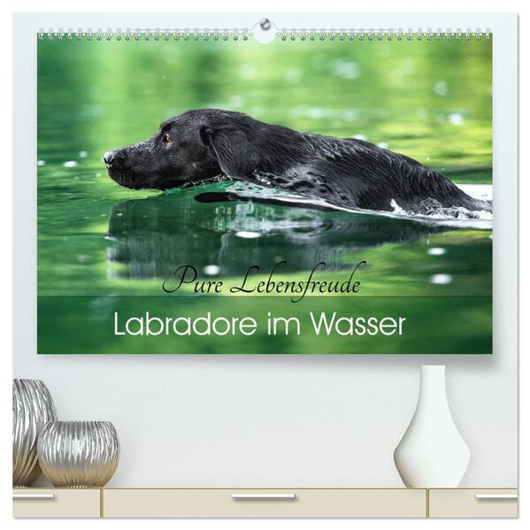 Labradore im Wasser (hochwertiger Premium Wandkalender 2026 DIN A2 quer) Kunstdruck in Hochglanz