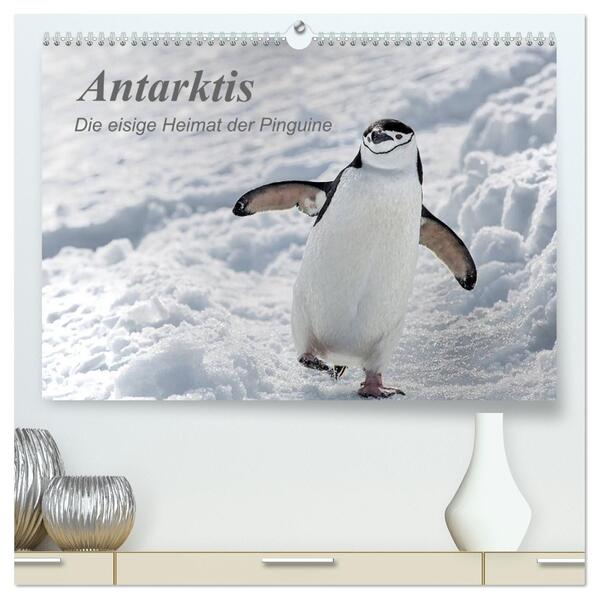 Antarktis die eisige Heimat der Pinguine (hochwertiger Premium Wandkalender 2026 DIN A2 quer) Kunstdruck in Hochglanz