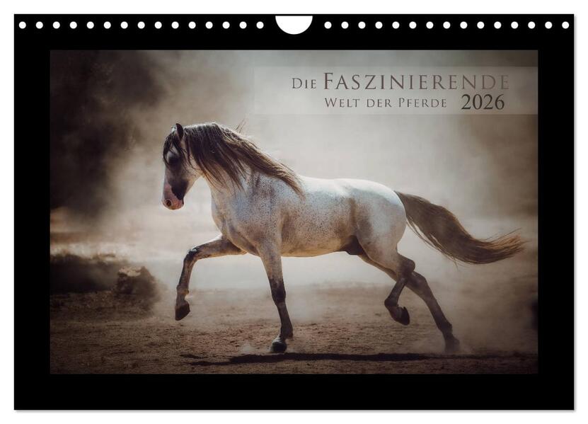 Die Faszinierende Welt der Pferde (Wandkalender 2026 DIN A4 quer) CALVENDO Monatskalender