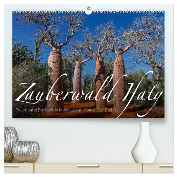 Zauberwald Ifaty · Traumhafte Baobabs in Madagaskar (hochwertiger Premium Wandkalender 2026 DIN A2 quer) Kunstdruck in Hochglanz