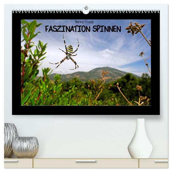 Faszination Spinnen (hochwertiger Premium Wandkalender 2026 DIN A2 quer) Kunstdruck in Hochglanz