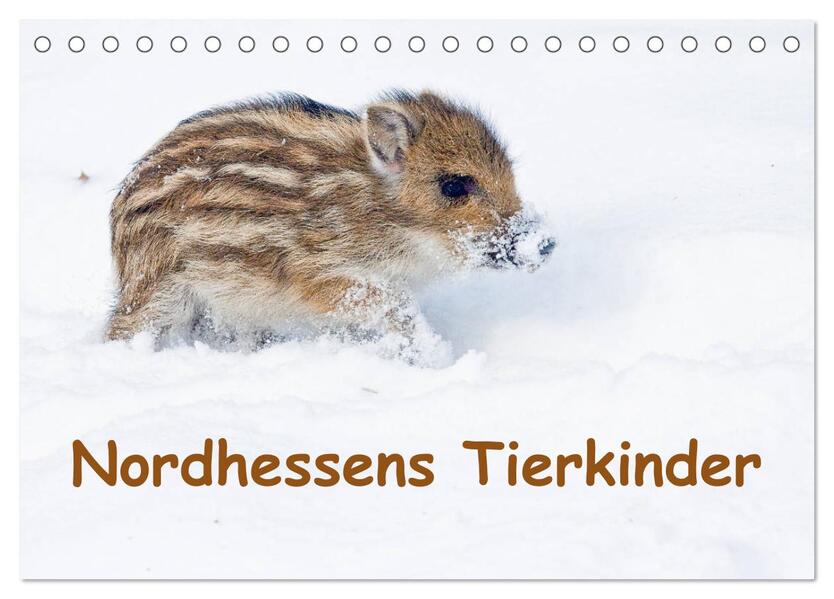 Nordhessens Tierkinder (Tischkalender 2026 DIN A5 quer) CALVENDO Monatskalender