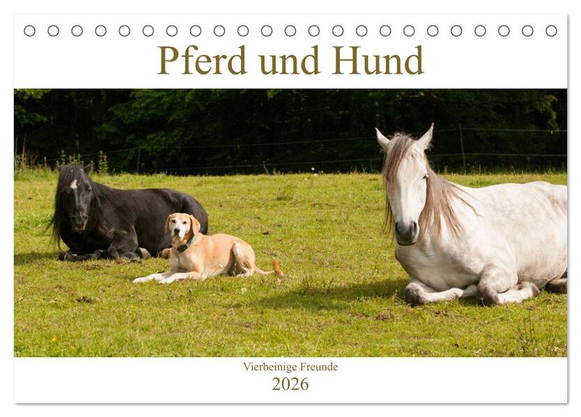 Pferd und Hund - Vierbeinige Freunde (Tischkalender 2026 DIN A5 quer) CALVENDO Monatskalender