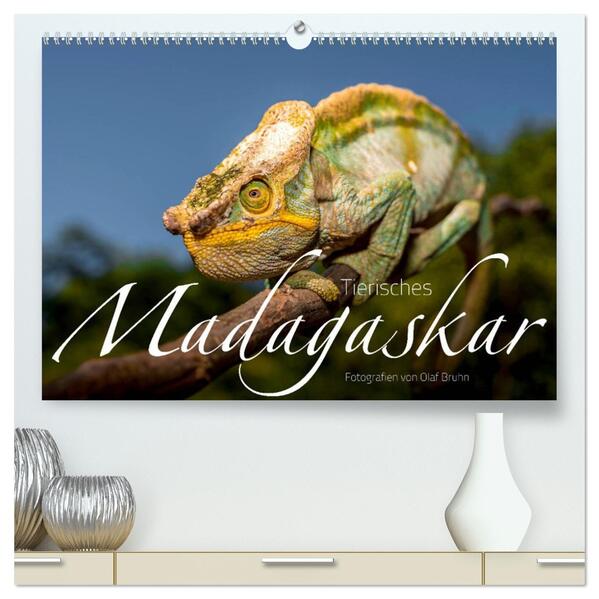 Tierisches Madagaskar (hochwertiger Premium Wandkalender 2026 DIN A2 quer) Kunstdruck in Hochglanz