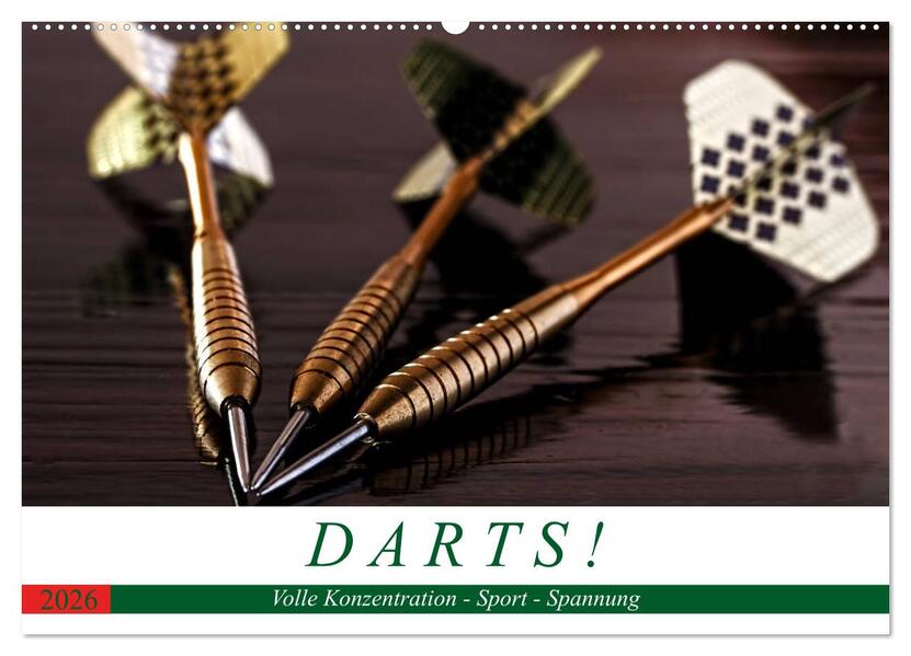 Darts. Konzentration - Sport - Spannung (Wandkalender 2026 DIN A2 quer) CALVENDO Monatskalender