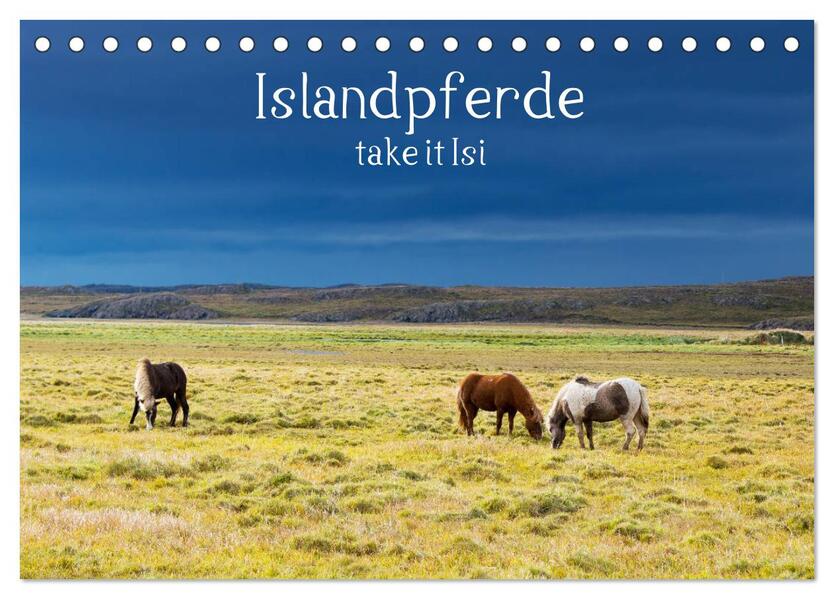 Islandpferde take it Isi (Tischkalender 2026 DIN A5 quer) CALVENDO Monatskalender
