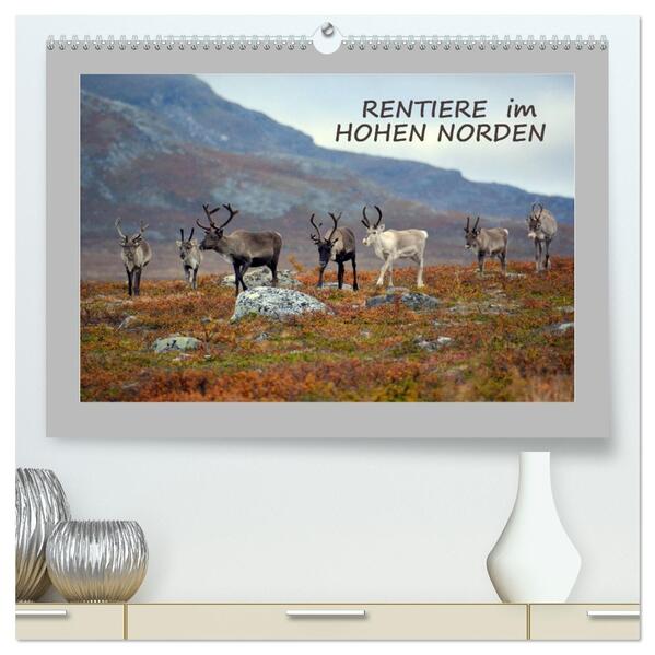 Rentiere im Hohen Norden (hochwertiger Premium Wandkalender 2026 DIN A2 quer) Kunstdruck in Hochglanz