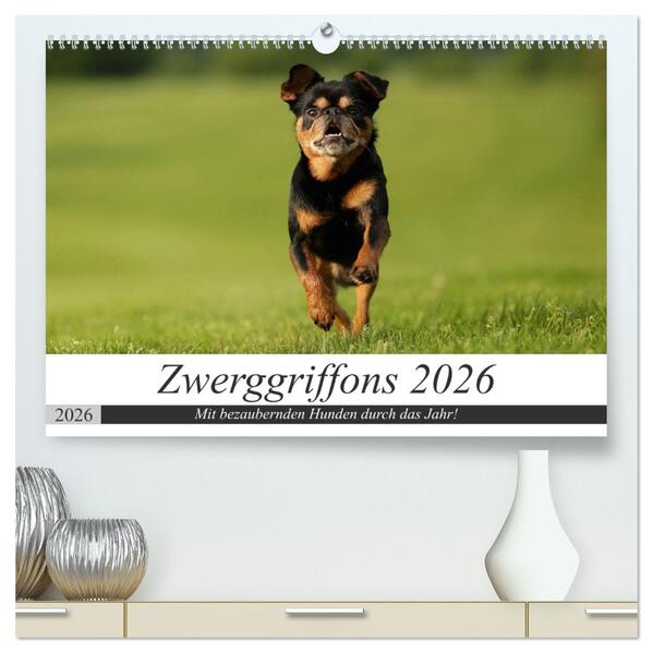 Zwerggriffons 2026 (hochwertiger Premium Wandkalender 2026 DIN A2 quer) Kunstdruck in Hochglanz