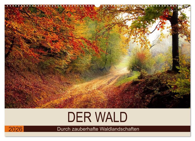 Der Wald. Durch zauberhafte Waldlandschaften (Wandkalender 2026 DIN A2 quer) CALVENDO Monatskalender