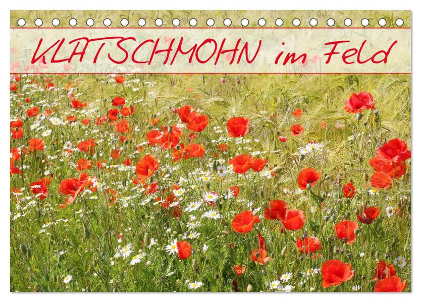 Klatschmohn im Feld (Tischkalender 2026 DIN A5 quer) CALVENDO Monatskalender