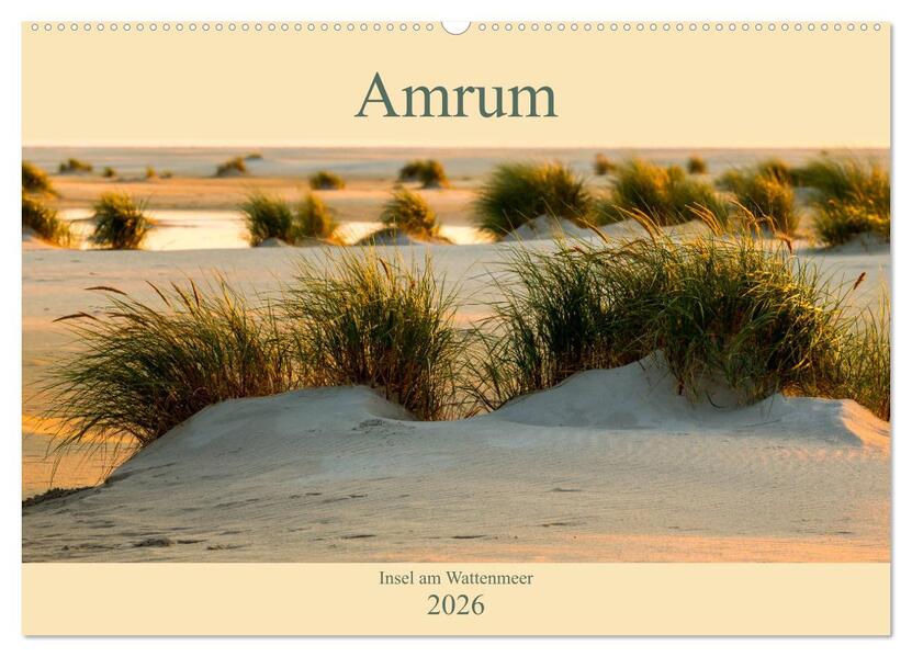 Amrum Insel am Wattenmeer (Wandkalender 2026 DIN A2 quer) CALVENDO Monatskalender