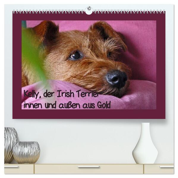 Kelly der Irish Terrier - innen und außen aus Gold (hochwertiger Premium Wandkalender 2026 DIN A2 quer) Kunstdruck in Hochglanz