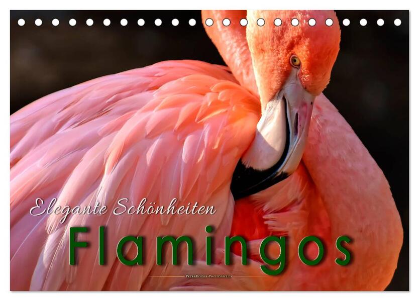 Flamingos - elegante Schönheiten (Tischkalender 2026 DIN A5 quer) CALVENDO Monatskalender