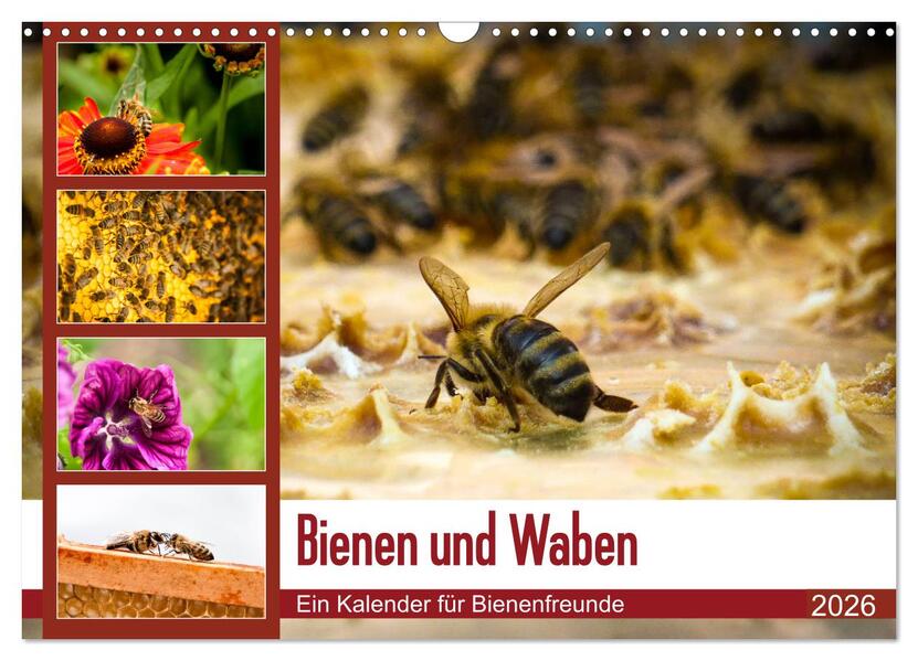 Bienen und Waben (Wandkalender 2026 DIN A3 quer) CALVENDO Monatskalender
