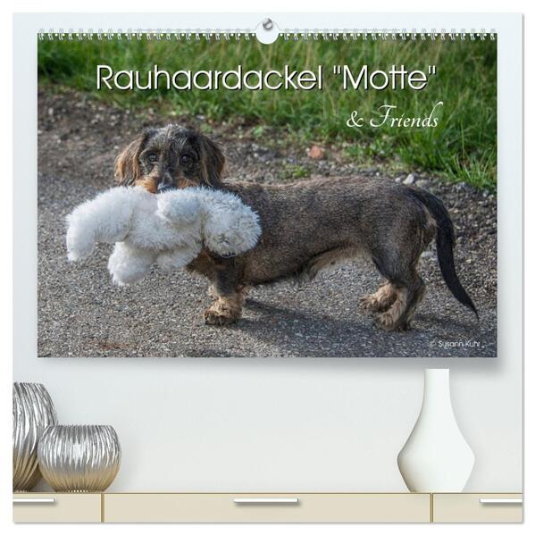 Rauhaardackel Motte & Friends (hochwertiger Premium Wandkalender 2026 DIN A2 quer) Kunstdruck in Hochglanz