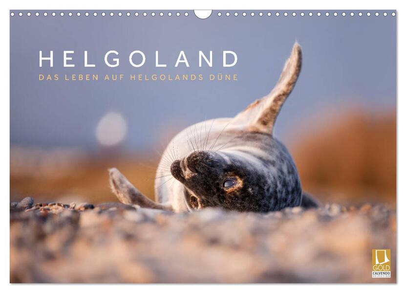 Helgoland - Das Leben auf der Düne Helgolands (Wandkalender 2026 DIN A3 quer) CALVENDO Monatskalender