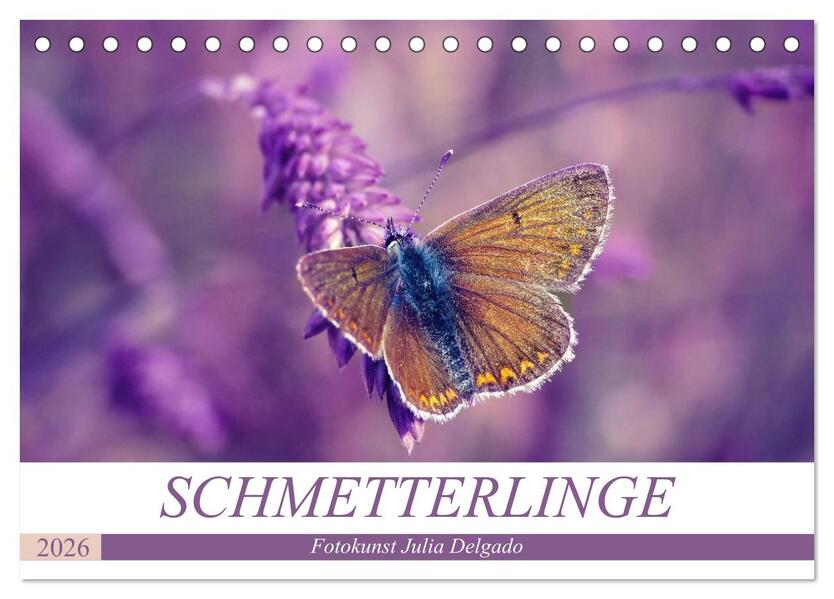 Schmetterlinge im Fokus (Tischkalender 2026 DIN A5 quer) CALVENDO Monatskalender
