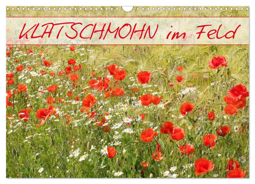 Klatschmohn im Feld (Wandkalender 2026 DIN A3 quer) CALVENDO Monatskalender