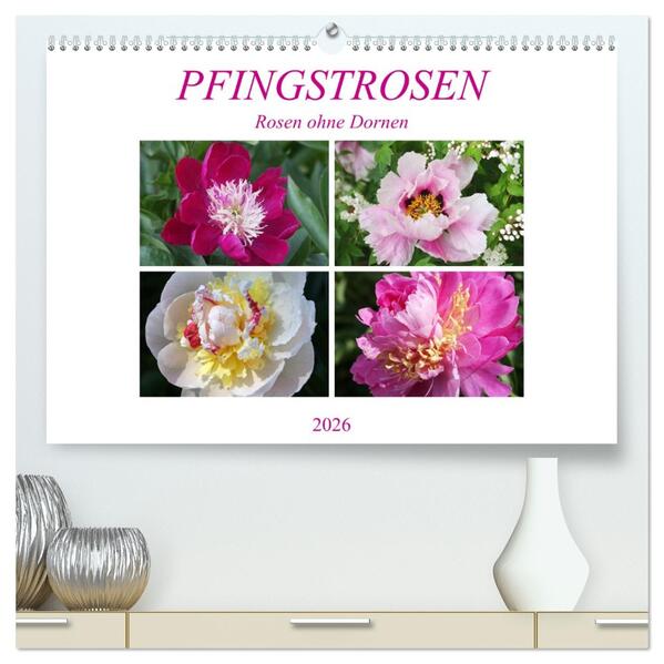 PFINGSTROSEN Rosen ohne Dornen (hochwertiger Premium Wandkalender 2026 DIN A2 quer) Kunstdruck in Hochglanz