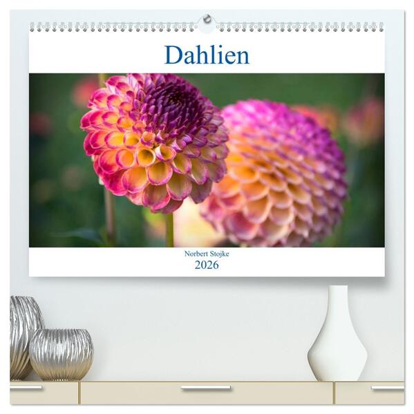 Dahlien - Blumenwunder der Natur (hochwertiger Premium Wandkalender 2026 DIN A2 quer) Kunstdruck in Hochglanz