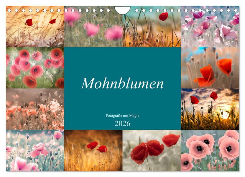 Mohnblumen - Fotografie mit Magie (Wandkalender 2026 DIN A4 quer) CALVENDO Monatskalender