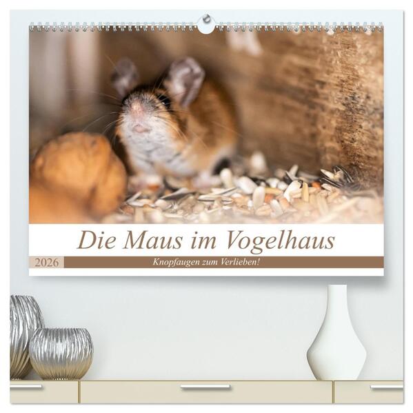 Die Maus im Vogelhaus (hochwertiger Premium Wandkalender 2026 DIN A2 quer) Kunstdruck in Hochglanz