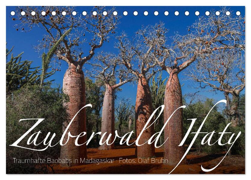 Zauberwald Ifaty · Traumhafte Baobabs in Madagaskar (Tischkalender 2026 DIN A5 quer) CALVENDO Monatskalender