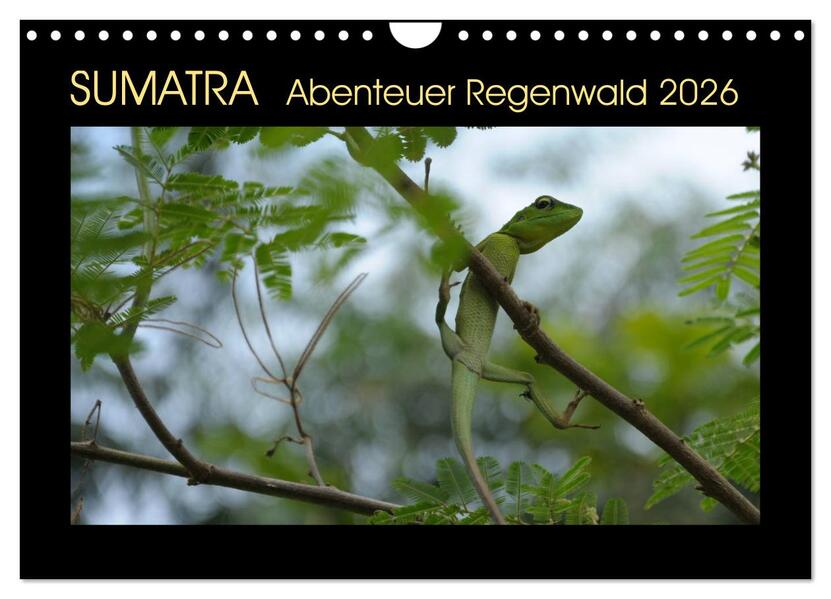SUMATRA Abenteuer Regenwald (Wandkalender 2026 DIN A4 quer) CALVENDO Monatskalender